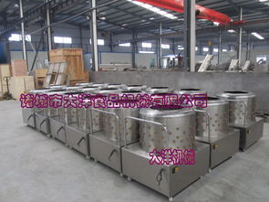 【大洋牌高產量雞鴨褪毛機快速禽類打毛設備廠家直銷】-